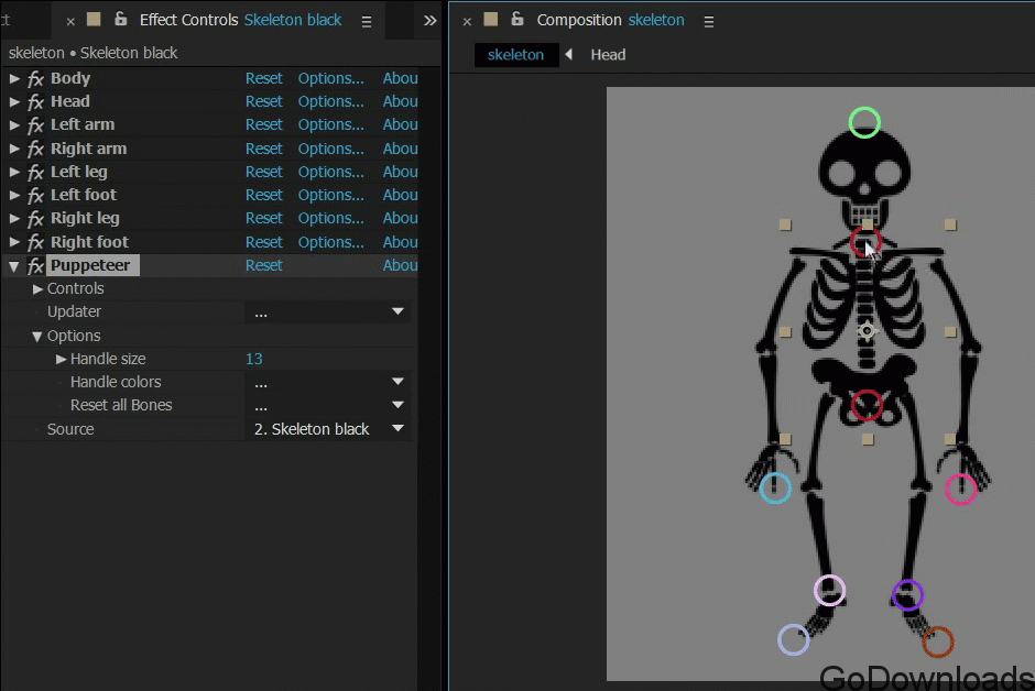 BAO Bones 1.5.7 for After Effects crack