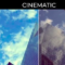 Cinematic LUTs for Adobe Premiere Pro Free Download [WIN-MAC]