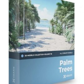 CGAxis – Volume 110 – Palm Trees 3D Models Collection Free Download