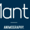 Animography Mantis 1.4 for After Effects Free Download