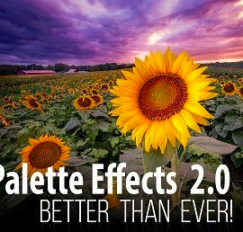 F.64 Elite – Palette Effects 2.0 Photoshop Panel Free Download