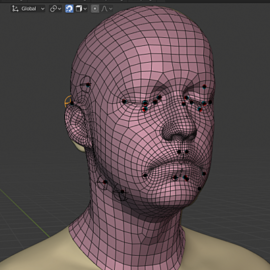 Blender Market – Auto Rig Pro v3.43.22 and Softwrap Dynamics For Retopology v1.0 Free Download