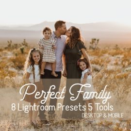 CreativeMarket – Perfect Family Lightroom Presets 4260461 Free Download