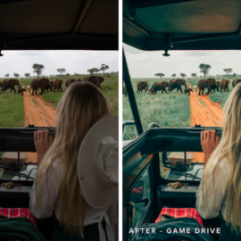 Hilvees X Eljackson AFRICA Lightroom Presets Free Download