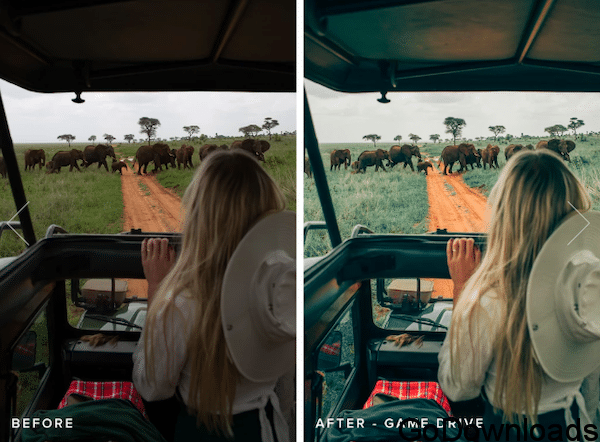 Hilvees X Eljackson AFRICA Lightroom Presets Free Download