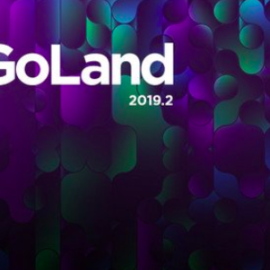 JetBrains GoLand 2019.2.5 Free Download