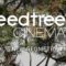 SpeedTree Modeler 8.4.2 Cinema Edition Free Download