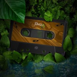 Audiojungle Emotional Free Download