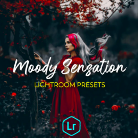 GraphicRiver – Moody Portraits Collection Lightroom Presets 24876957 Free Download