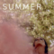 NoamKroll – Cinematic LUTs: Summer Free Download [WIN-MAC]