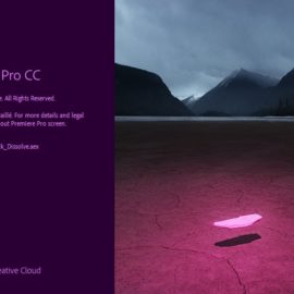 Adobe Premiere Pro 2020 v14.0.1.71 Free Download