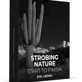 Joel Grimes Photography – Start to Finish – Strobing Nature Free Download