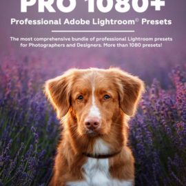 PRO 1080+ | Professional Adobe Lightroom Presets Free Download