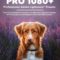 PRO 1080+ | Professional Adobe Lightroom Presets Free Download