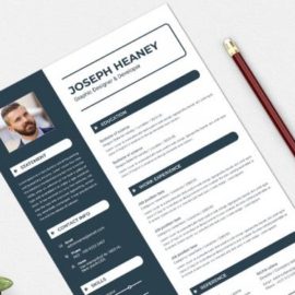 Resume Template Free Download