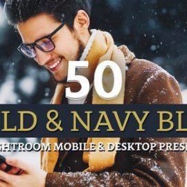 50 Gold & Navy Lightroom Presets Free Download