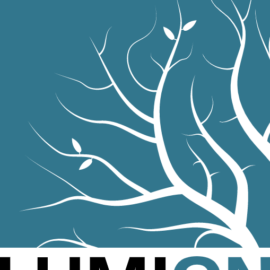 Lumion pro 9.5 Free Download