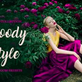 CreativeMarket – Moody Style Presets for Lightroom 4291241 Free Download