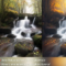 Landscape Nature & Autumn atmosphere Tutorial Free Download