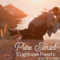 CreativeMarket – Pure Sunset Lightroom Presets 4400317 Free Download