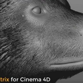 Ornatrix v1.0.0.21988 for Cinema 4D Win Free Download