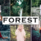 Forest Mobile & Desktop Lightroom Presets Free Download