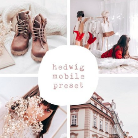 She The Spy – Hedwig Mobile Preset Free Download