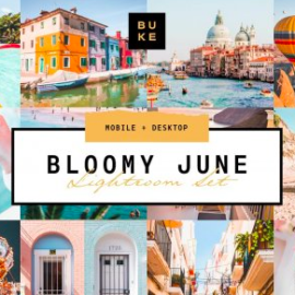 CreativeMarket – Bloomy June Lightroom Preset 3831604 Free Download