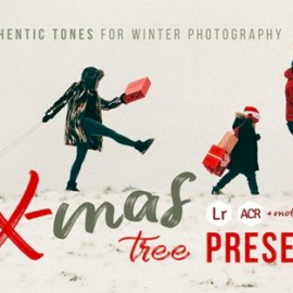 CM – Christmas Tree – 20 Winter Presets 4457878 Free Download