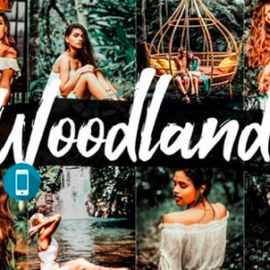 05 Woodland Lightroom Presets and ACR 2542463