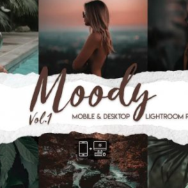 Moody Vol. 1 – 15 Premium Lightroom Presets Free Download