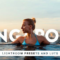 50 Singapore Lightroom Presets and LUTs Free Download