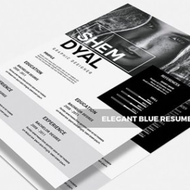 Shemdyal | CV & Resume Free Download