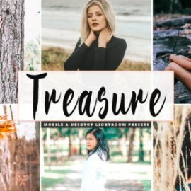 CreativeMarket – Treasure Mobile & Desktop Lightroom Presets Free Download