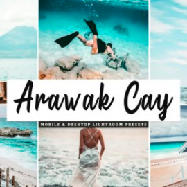 CreativeMarket – Arawak Cay Mobile & Desktop Lightroom Presets Free Download