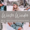 CreativeMarket – Lightroom Presets Winter Wonder 4411208 Free Download