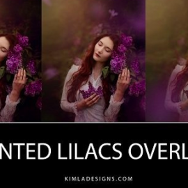 Kimla Designs Painted Lilacs Overlays Free Download