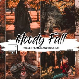 CreativeMarket – MOODY FALL LIGHTROOM PRESETS 4493759 Free Download