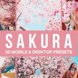 CreativeMarket – 50 Sakura Pink Lightroom Presets and LUTs 4498892 Free Download