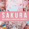 CreativeMarket – 50 Sakura Pink Lightroom Presets and LUTs 4498892 Free Download