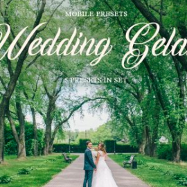 CreativeMarket – Wedding Gelato Mobile Presets 4423386 Free Download