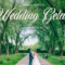 CreativeMarket – Wedding Gelato Mobile Presets 4423386 Free Download