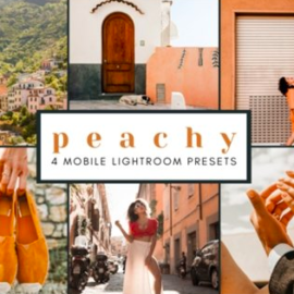 4 Mobile Lightroom Presets | Peachy 2651897 Free Download