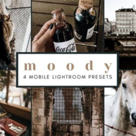 4 Mobile Lightroom Presets | Moody 2651919 Free Download