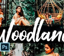 05 Woodland Photoshop Actions, ACR LUT 2637734 Free Download