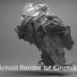 Solid Angle Cinema 4D To Arnold 3.0.1.1 for Cinema 4D R19-R21 Free Download [WIN-MAC]