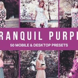 50 Tranquil Purple Lightroom Presets Free Download