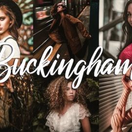 10 Lightroom Presets – Buckingham Free Download