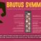 AD Brutus Symmetry Panel for Adobe Photoshop Free Download