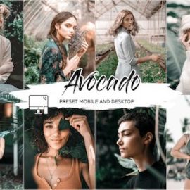 Avocado Lightroom Presets + Luts Free Download